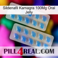 Sildenafil Kamagra 100Mg Oral Jelly 23